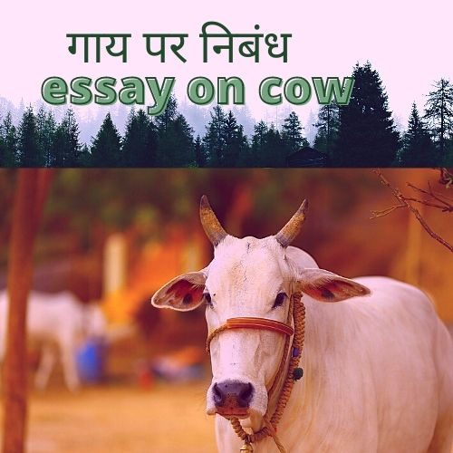 about cow in hindi