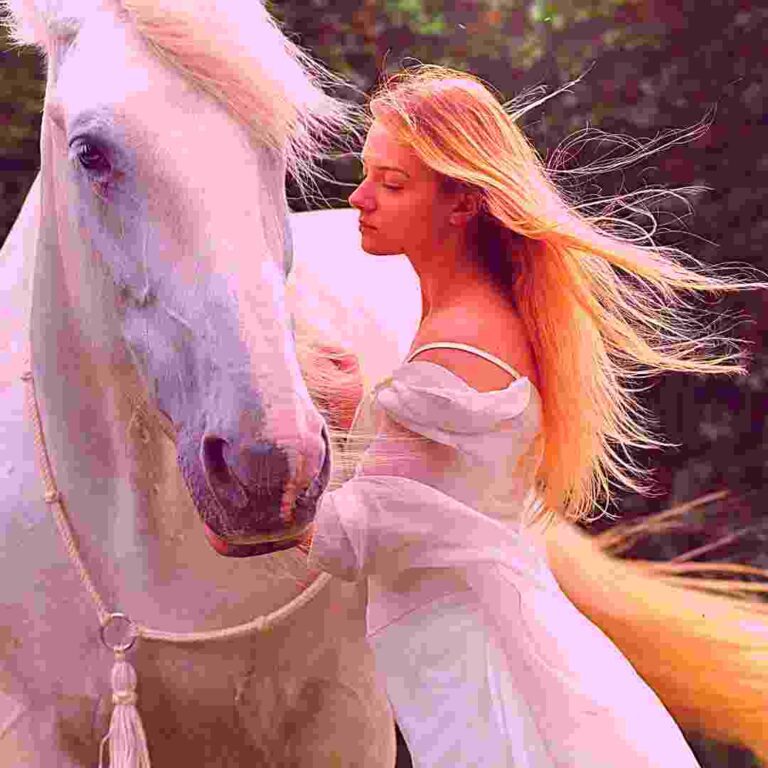 information of horse in hindi