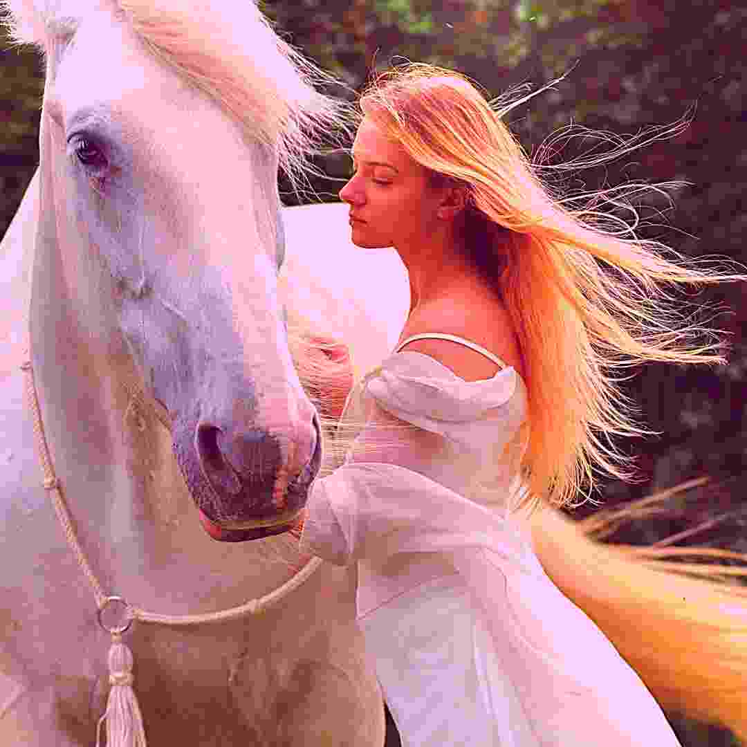 information of horse in hindi
