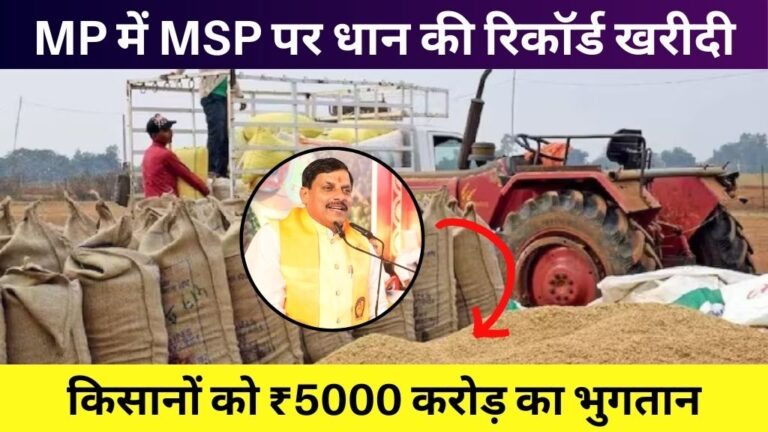 MP में MSP पर धान की रिकॉर्ड खरीदी, किसानों को ₹5000 करोड़ का भुगतान - जानें पूरी खबर
