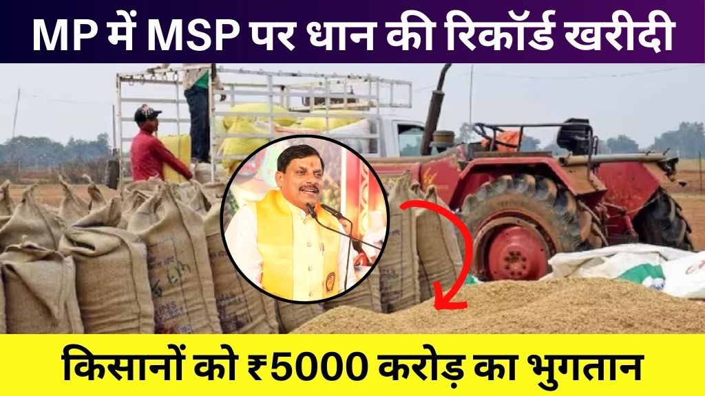 MP में MSP पर धान की रिकॉर्ड खरीदी, किसानों को ₹5000 करोड़ का भुगतान - जानें पूरी खबर
