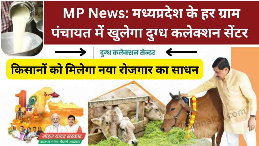 mp news