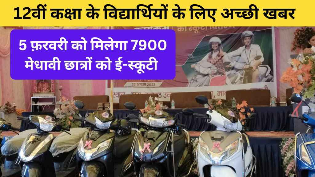 MP News
