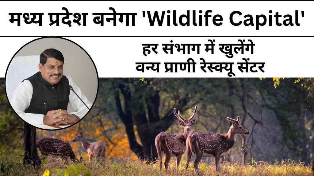 MP News: मध्य प्रदेश बनेगा 'Wildlife Capital': हर संभाग में खुलेंगे वन्य प्राणी रेस्क्यू सेंटर