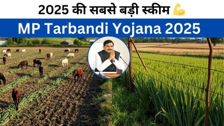 MP Tarbandi Yojana 2025: किसानों के लिए बड़ी खुशखबरी, खेतों में तारबंदी के लिए 80% सब्सिडी