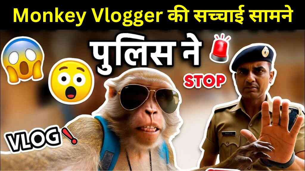 इंस्टाग्राम पर बंदर व्लॉगर की सच्चाई आई सामने, निकला इस AI का कमाल