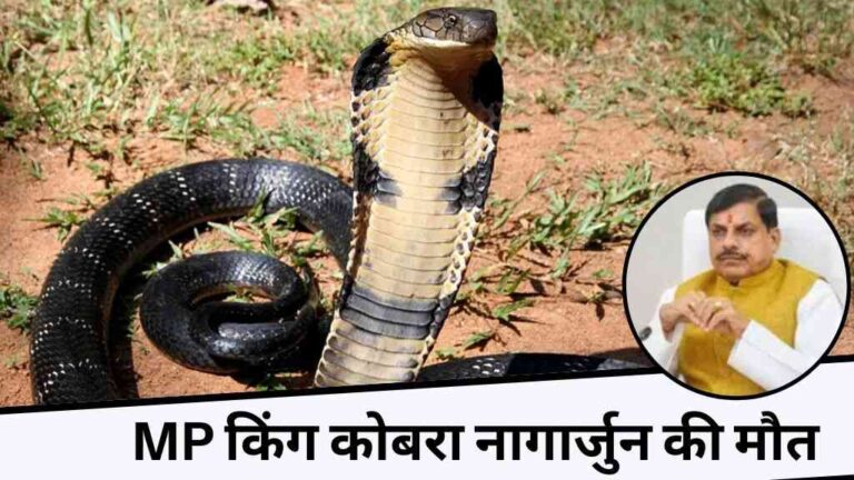 MP में फिर से तेज़ होगी किंग कोबरा प्रोजेक्ट की रफ्तार, नागार्जुन की मौत के बाद उठाए जा रहे बड़े कदम