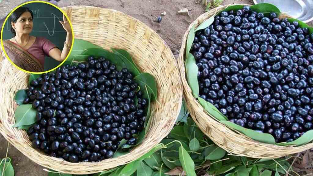MP News: इंडियन ब्लैकबेरी’ की देशभर में डिमांड, जामुन बेच मंडला की महिलाएं कमा रहीं ₹15,000 महीना