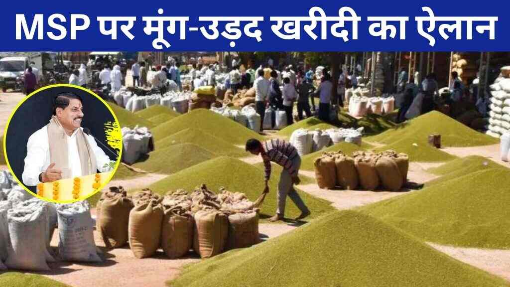 MSP पर मूंग-उड़द खरीदी का ऐलान