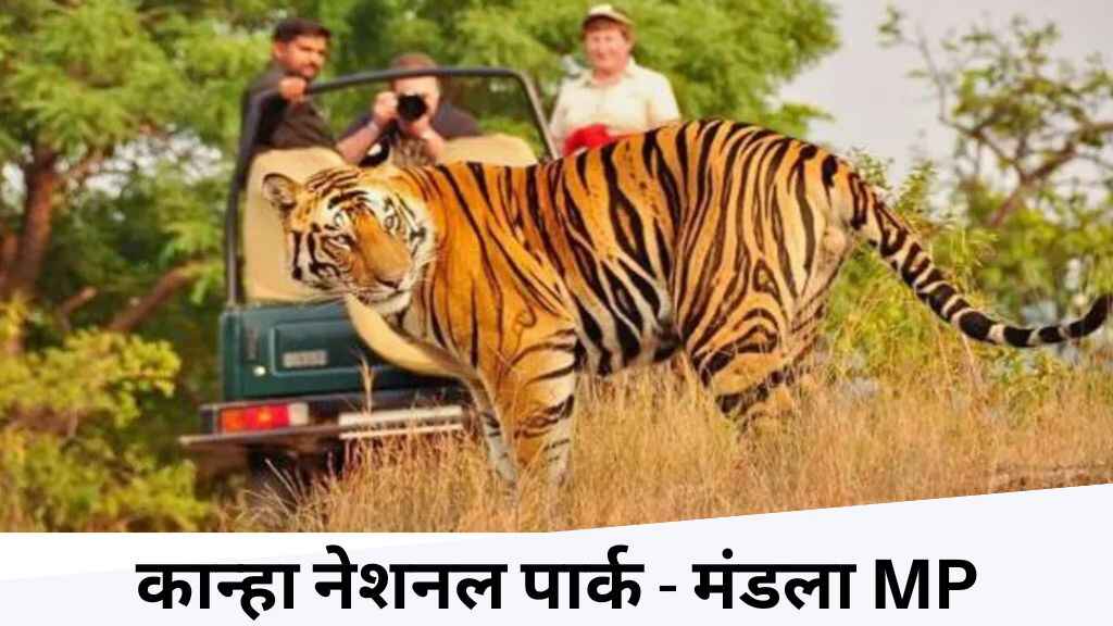 कान्हा नेशनल पार्क