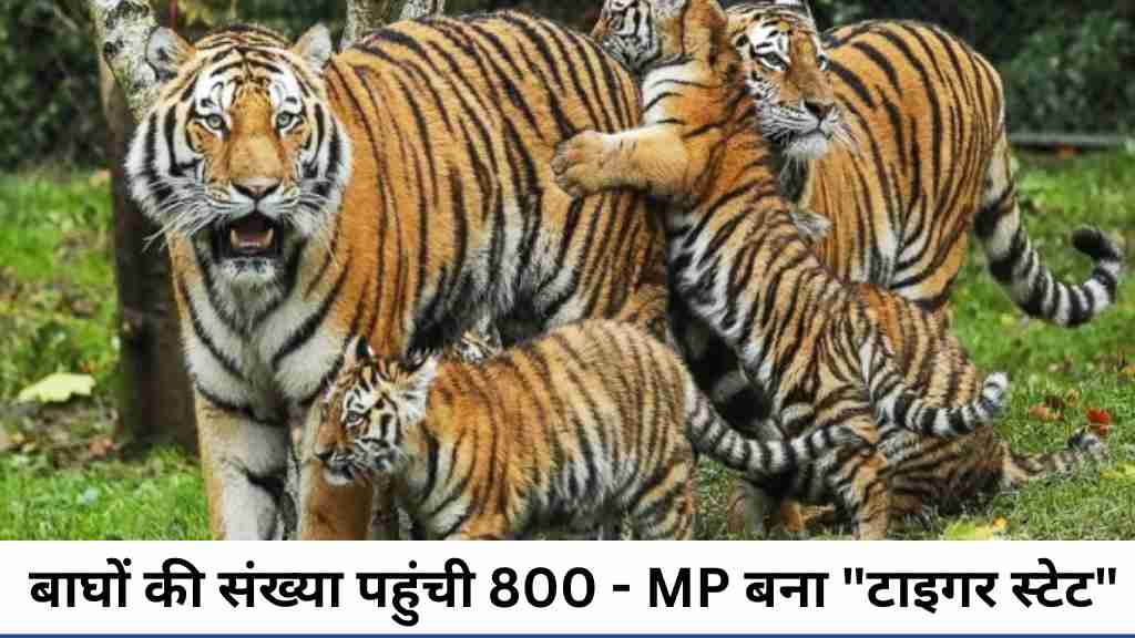 मध्यप्रदेश