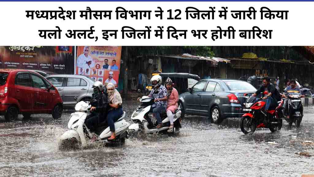 MP News